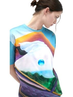 ZARA wearable art cotton Tshirt